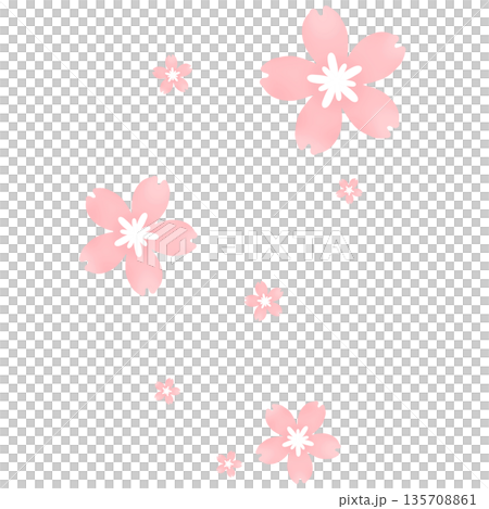 ピンク色のたくさんの桜が咲いたイラスト ピンク色のたくさんの桜が咲いたイラスト 135708861