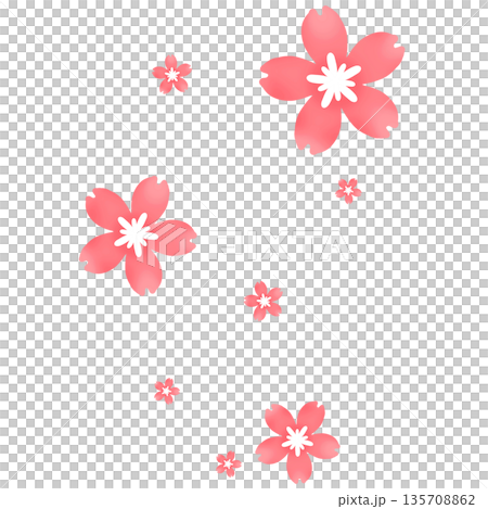 赤色のたくさんの桜が咲いたイラスト 135708862