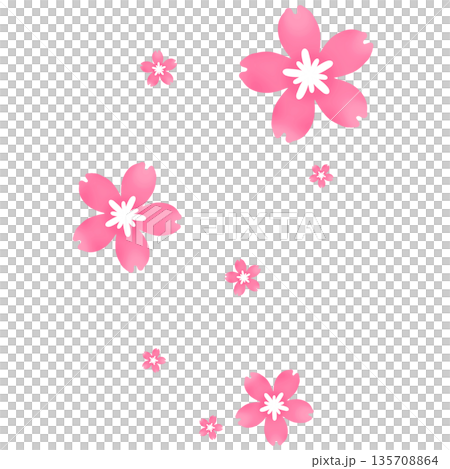 鮮やかなピンク色のたくさんの桜が咲いたイラスト 鮮やかなピンク色のたくさんの桜が咲いたイラスト 135708864