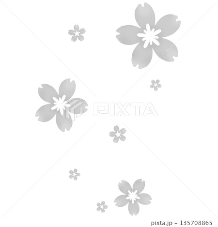 グレーのたくさんの桜が咲いたイラスト 135708865