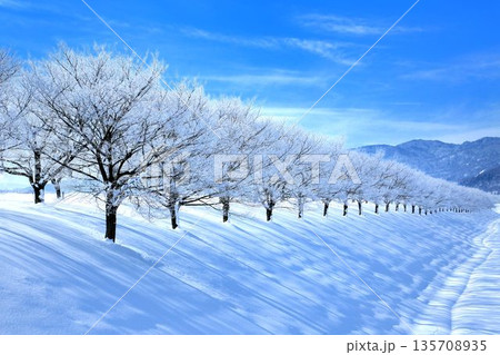 飯山の冬景色 135708935