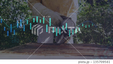 Beekeeper wearing yellow suit using bee smoker on wooden hive frame in apiary, with data overlay 135709581