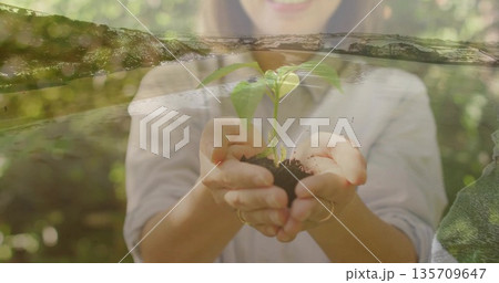Middle-aged woman wearing long sleeves cradling green seedling with soil in sunlit garden, foliage 135709647