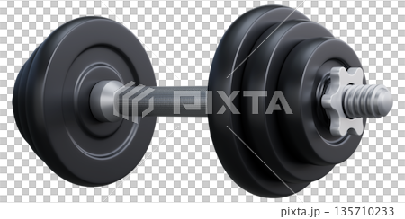 Adjustable Dumbbell with Black Weight Plates And Chrome Bar Perspective View 135710233