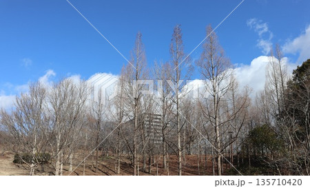 神戸市 西区 西神中央 近隣 神戸市 西区 西神中央 近隣 135710420