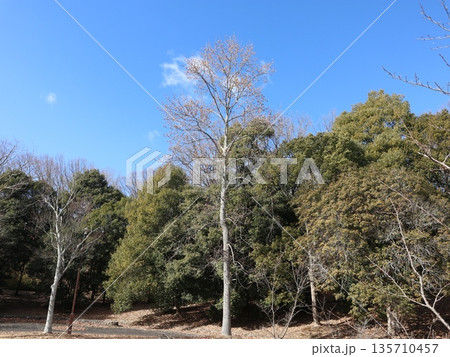 神戸市　西区　西神中央　近隣 135710457