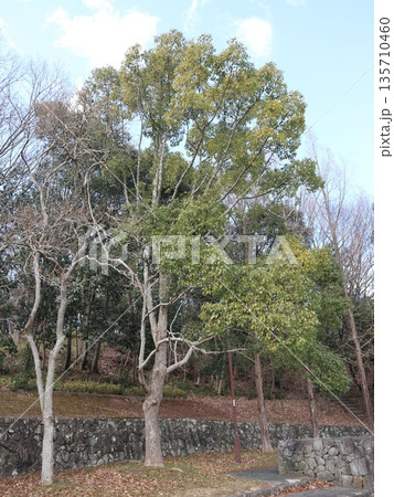 神戸市　西区　西神中央　近隣 135710460