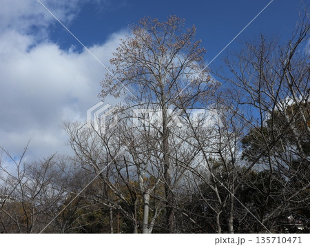 神戸市 西区 西神中央 近隣 神戸市 西区 西神中央 近隣 135710471