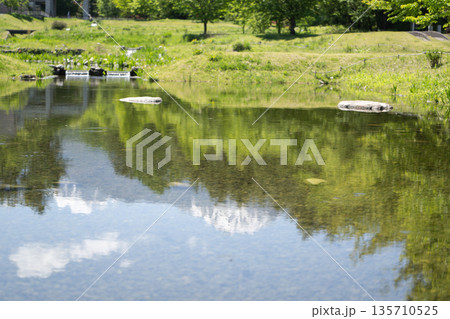 長野県安曇野市　国営アルプスあづみの公園　新緑と北アルプスを映す美しい水鏡と透明な池 135710525