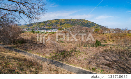背割り堤からの天王山の眺め　京都府八幡市 135710685
