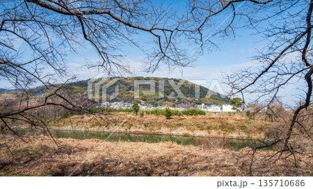 背割り堤からの天王山の眺め　京都府八幡市 135710686