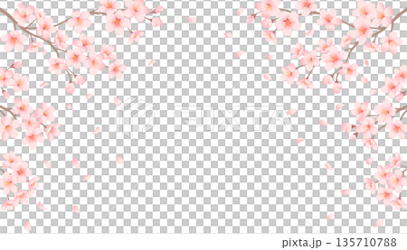 Frame of cherry blossom branches and falling petals Spring background illustration Frame of cherry blossom branches and falling petals Spring background illustration 135710788