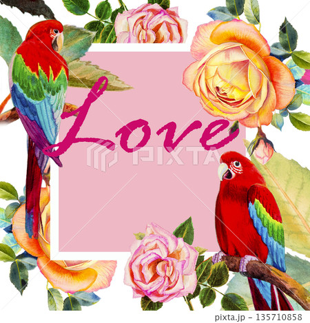 Painting watercolor illustration, postcard love flower of Macaw bird, roses. Painting watercolor illustration, postcard love flower of Macaw bird, roses. 135710858