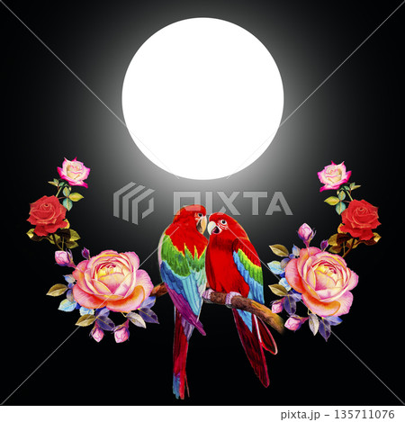 Painting  of roses flowers and  Macaw bird. 135711076