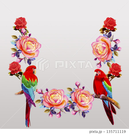 Painting of roses flowers and Macaw bird. Painting of roses flowers and Macaw bird. 135711119