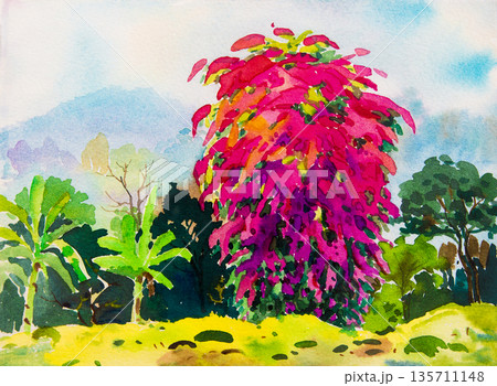 Painting art watercolor landscape original colorful of paper flowers. Painting art watercolor landscape original colorful of paper flowers. 135711148