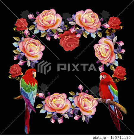 Painting of roses flowers and Macaw bird. Painting of roses flowers and Macaw bird. 135711150