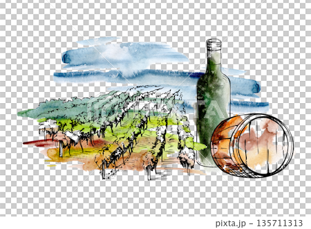 Watercolor vineyard landscape with stormy sky, ink rows of grapevines, wine bottle and wooden barrel closeup. Isolated illustration hand drawn for culinary branding, Mediterranean or California travel 135711313