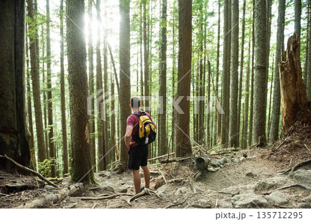 Male hiker hiking on rocky forest trail wearing hiking shoes and yellow backpack, copy space 135712295