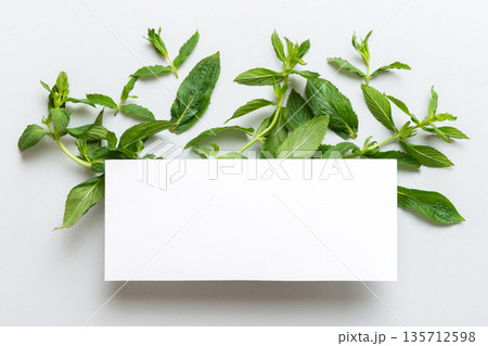 Wreath frame made of empty paper blank with space for text and mint leaves on colored background. . Mint Pattern. Flat lay. Top view 135712598
