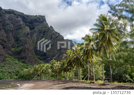 Remote beach in Hakaui Bay, Nuku Hiva, Marquesas Islands, French Polynesia 135712730