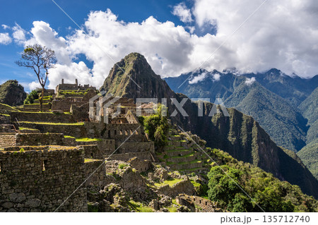 Panoramic view of Machu Picchu ruins with Huayna Picchu in background, Peru 135712740