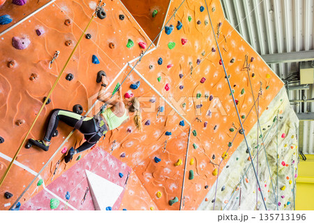 Woman climbing overhanging gym wall wearing harness, rope, quickdraws, climbing shoes, copy space 135713196