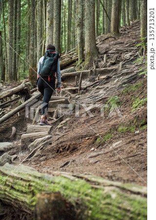 Female hiker carrying large backpack hiking up steep evergreen trail over roots and mossy logs Female hiker carrying large backpack hiking up steep evergreen trail over roots and mossy logs 135713201