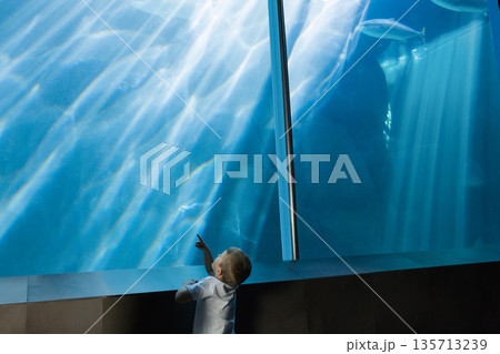 Child boy leaning against viewing ledge at aquarium, reaching toward fish through glass panel Child boy leaning against viewing ledge at aquarium, reaching toward fish through glass panel 135713239