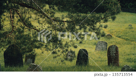 Old ancient Jewish cemetery in summer spring day. green grass and many ancient stones. Headstone Headstones Tombstones jewish grave 135713554