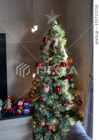 クリスマスツリー 135713738