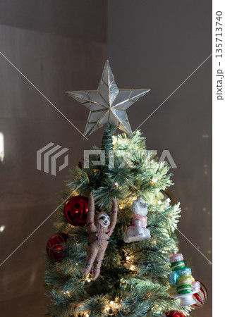 クリスマスツリー 135713740