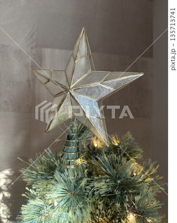 クリスマスツリー 135713741