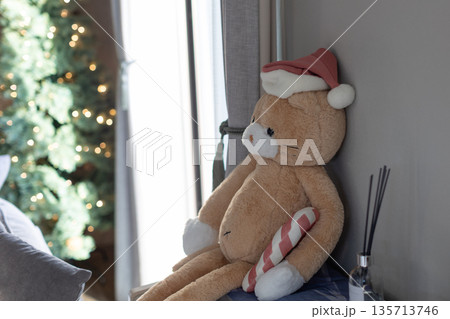 クリスマスツリー 135713746