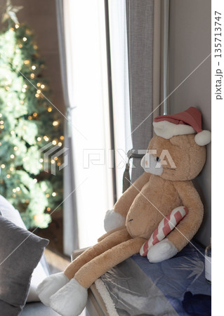 クリスマスツリー クリスマスツリー 135713747