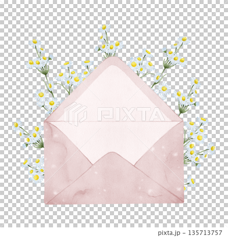 Envelope with Chamomile Flowers Watercolor Envelope with Chamomile Flowers Watercolor 135713757