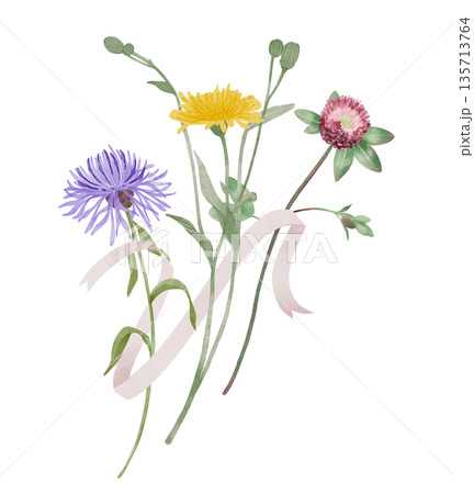 Wildflowers with Ribbon Watercolor Illustration 135713764