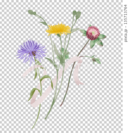 Wildflowers with Ribbon Watercolor Illustration 135713764