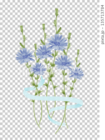 Cornflower Chicory Bouquet with Ribbon 135713784
