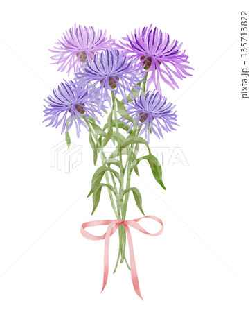 Cornflower and Aster Bouquet Watercolor 135713822