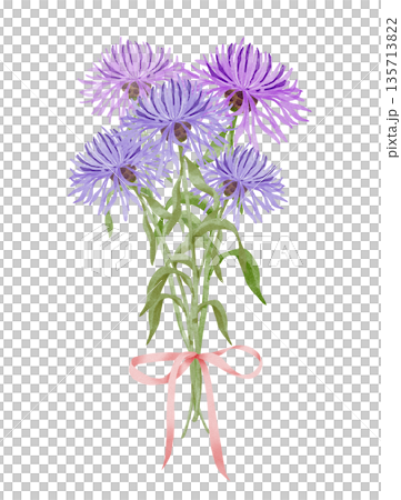 Cornflower and Aster Bouquet Watercolor 135713822