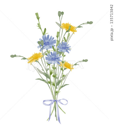 Wildflower Bouquet And Stems Watercolor Illustration Wildflower Bouquet And Stems Watercolor Illustration 135713842