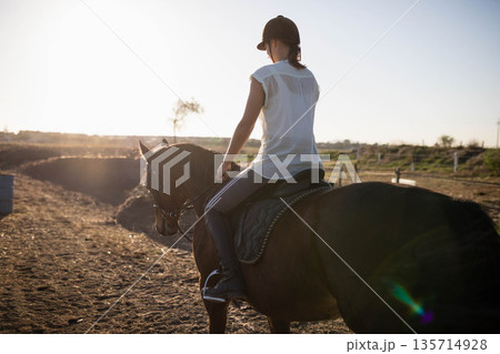 Female rider wearing brown helmet and holding reins sitting on saddled horse with bridle in paddock 135714928