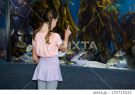 Female child pointing at tank in aquarium hall with padded barrier, observing kelp and striped fish 135715032