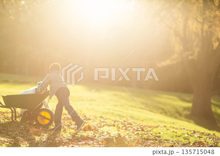 Female child pushing green wheelbarrow carrying white cloth across park field under warm sunlight Female child pushing green wheelbarrow carrying white cloth across park field under warm sunlight 135715048