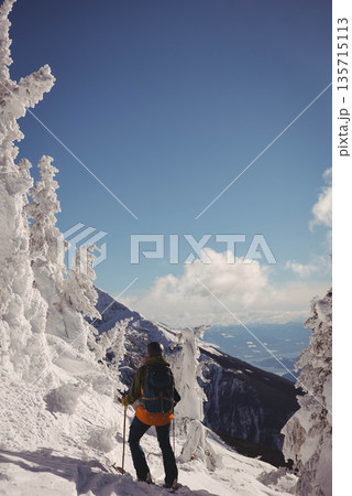 Hiker carrying backpack standing on snow-packed mountain ridge among frosted pines under blue sky Hiker carrying backpack standing on snow-packed mountain ridge among frosted pines under blue sky 135715113