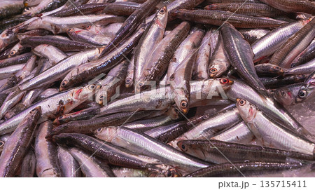 Fresh Anchovy, Fish Market, Spain Fresh Anchovy, Fish Market, Spain 135715411