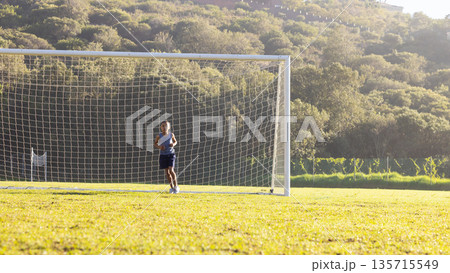 Boy guarding metal soccer goal frame inside net on sunlit grassy pitch by wooded hillside 135715549