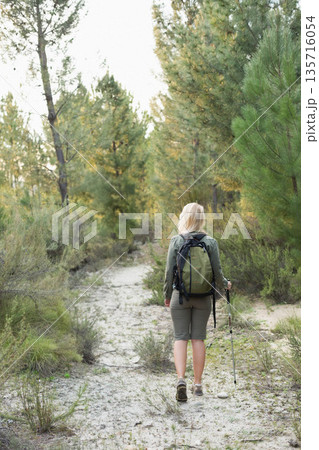 Green backpack and trekking pole resting on narrow sandy trail through pine trees Green backpack and trekking pole resting on narrow sandy trail through pine trees 135716054
