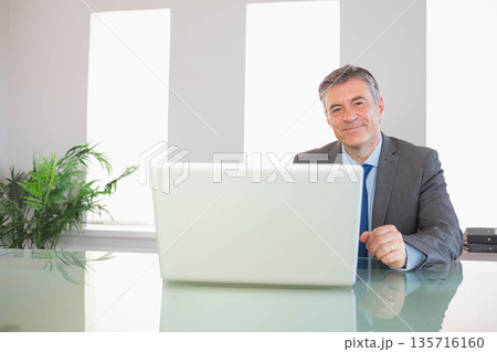 Mature man gray suit blue tie sitting behind glass desk with laptop, plant, binders, copy space 135716160